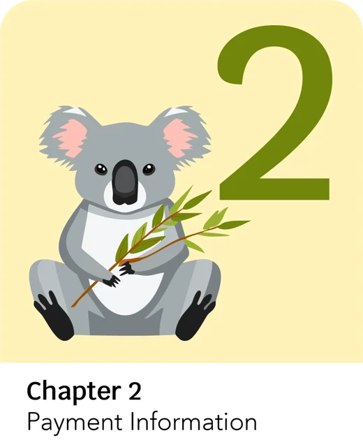 Chapter 2 title card: Payment Information