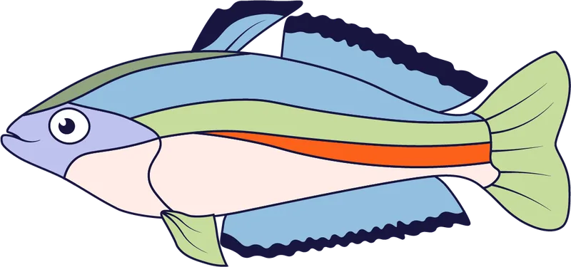 Crimson-spotted rainbowfish