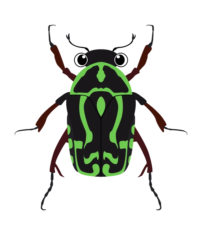 Bug 1