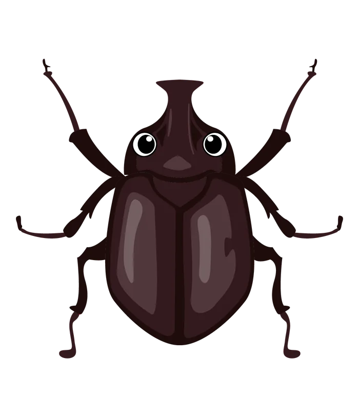 Bug 2
