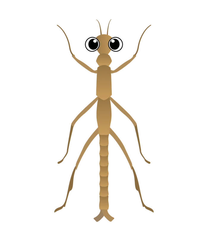 Bug 3