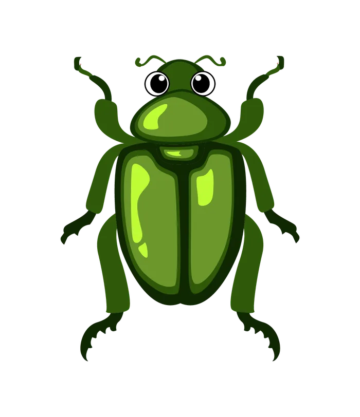 Bug 5