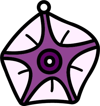 Uala design