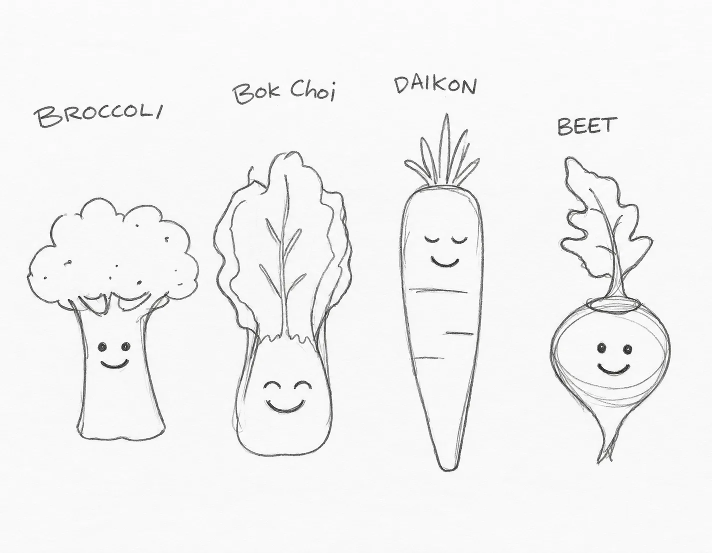 Pencil sketches of broccoli, bok choy, daikon and beet characters