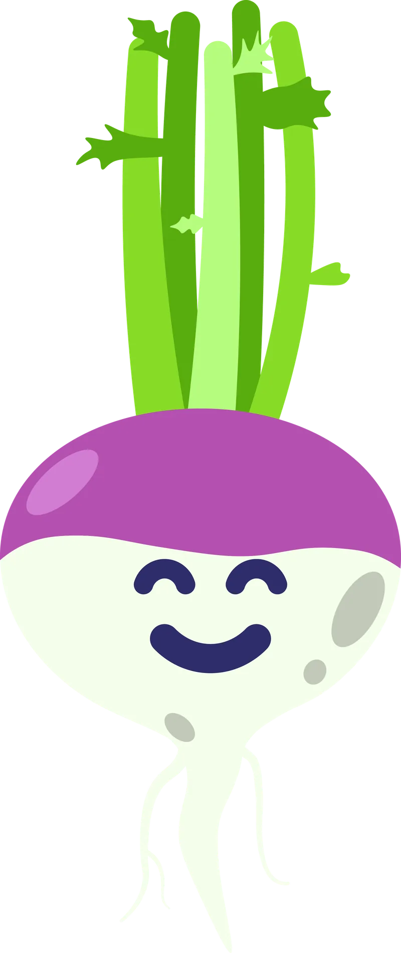 Turnip